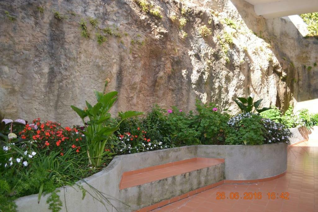 Coral Villa Ericeira